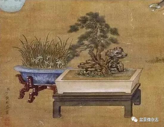 虽然中国历史上,很难找到盆景人的姓名,但盆景经常出现在古代流传至今