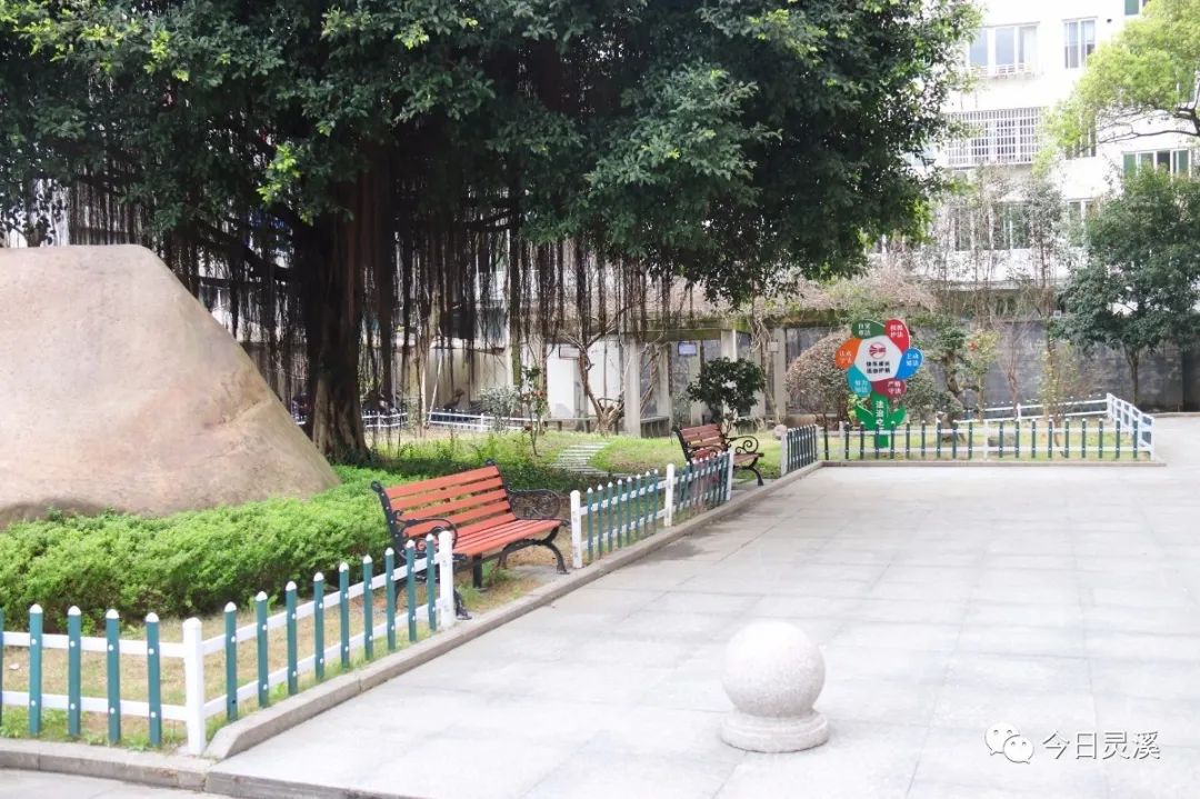 开学前的灵溪四小灵溪四中