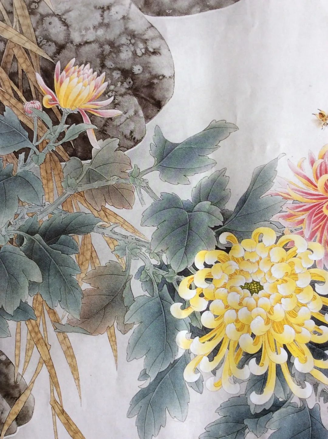 何冰工笔鲤鱼与菊花特殊技法班只需100元