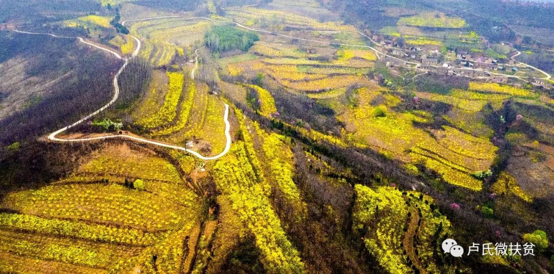 卢氏县范里碾子沟景区图片