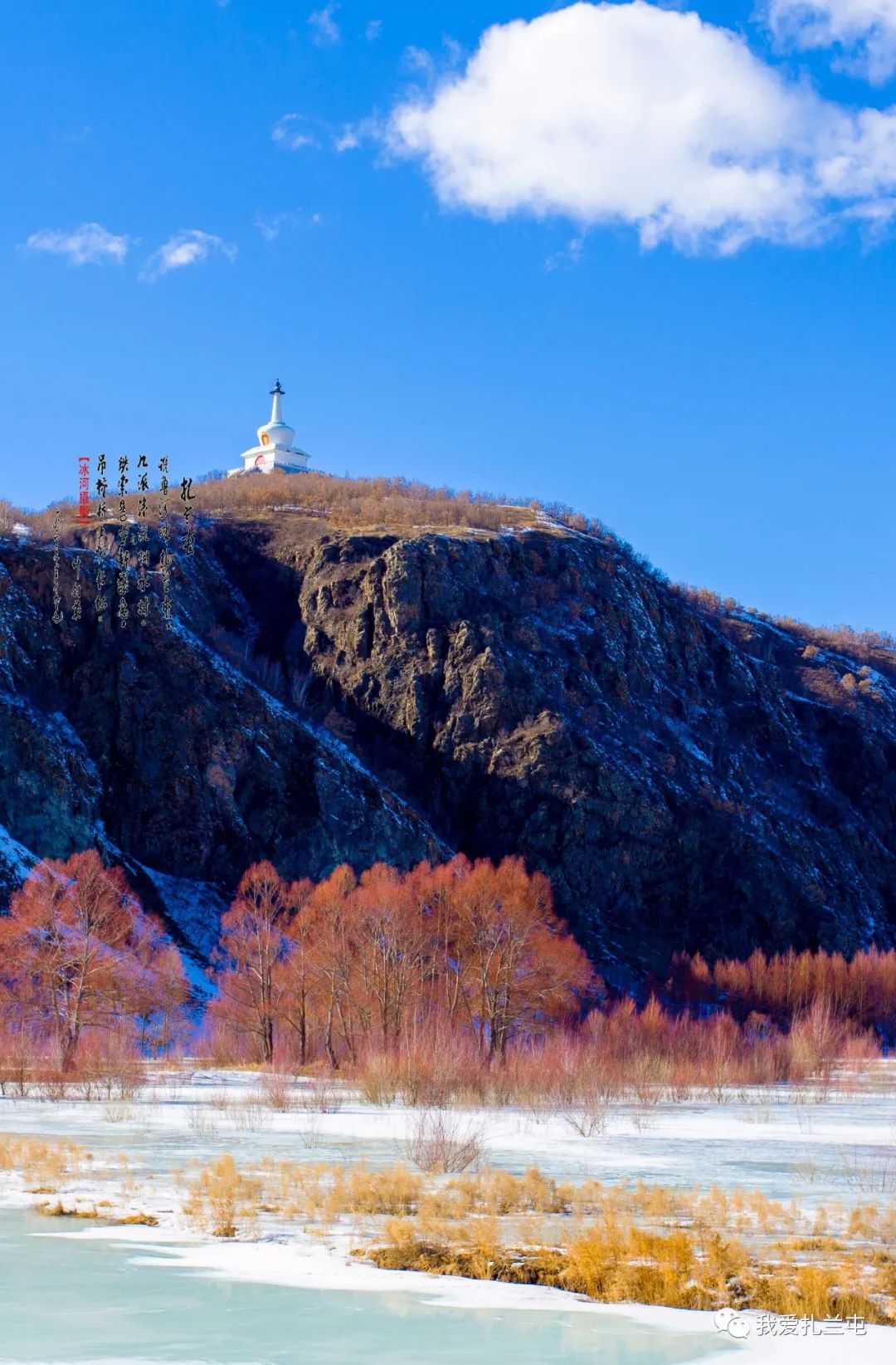 巴林红柳急坏大庆齐齐哈尔龙江碾子山的朋友