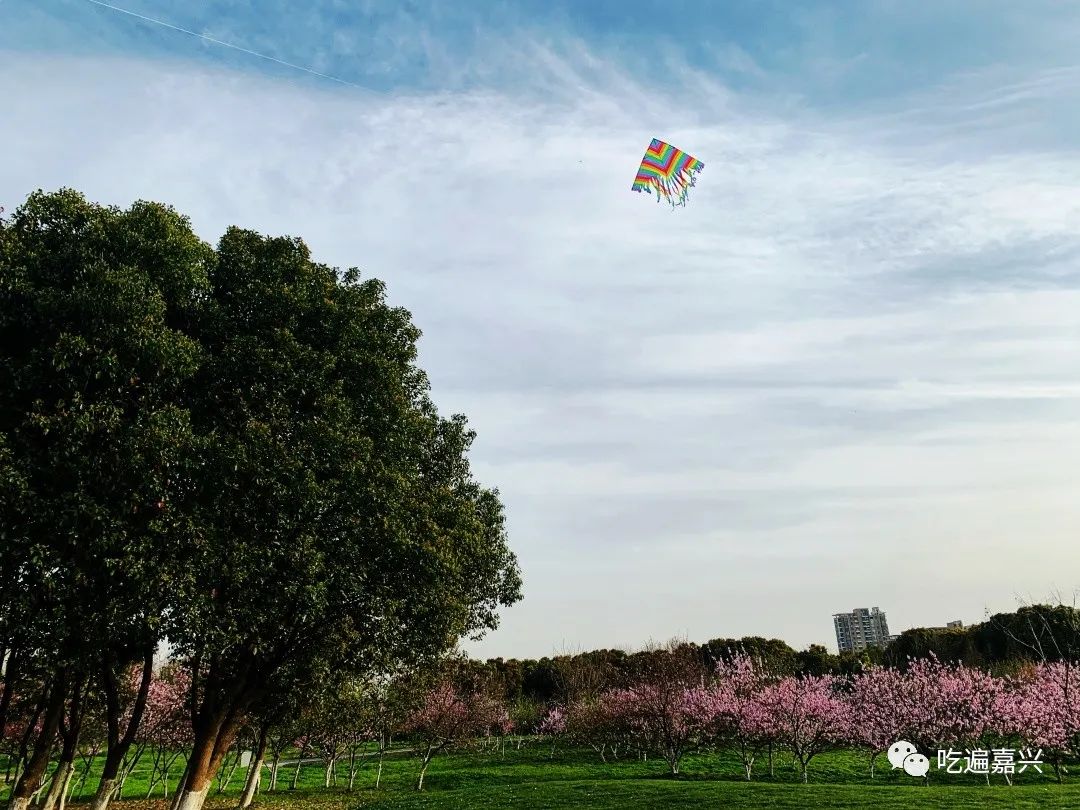 ③石臼漾溼地公園②范蠡湖公園①穆湖森林公園(我們去的就是這個公園