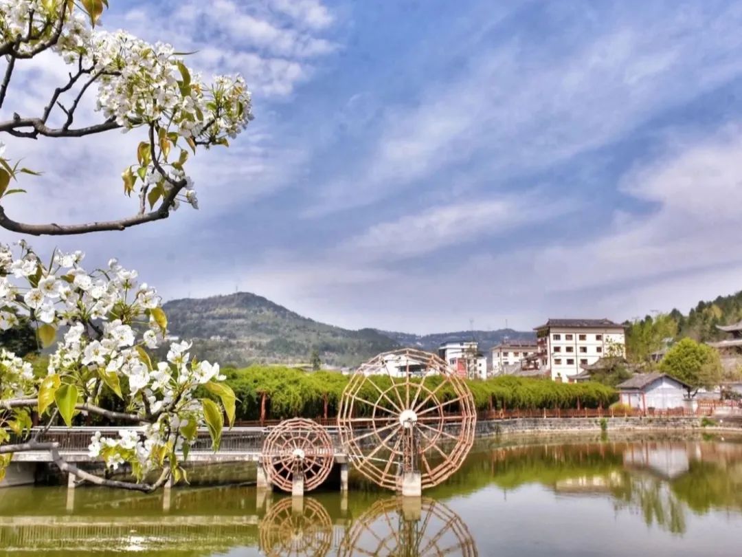 只有一天时间怎么玩转苍溪