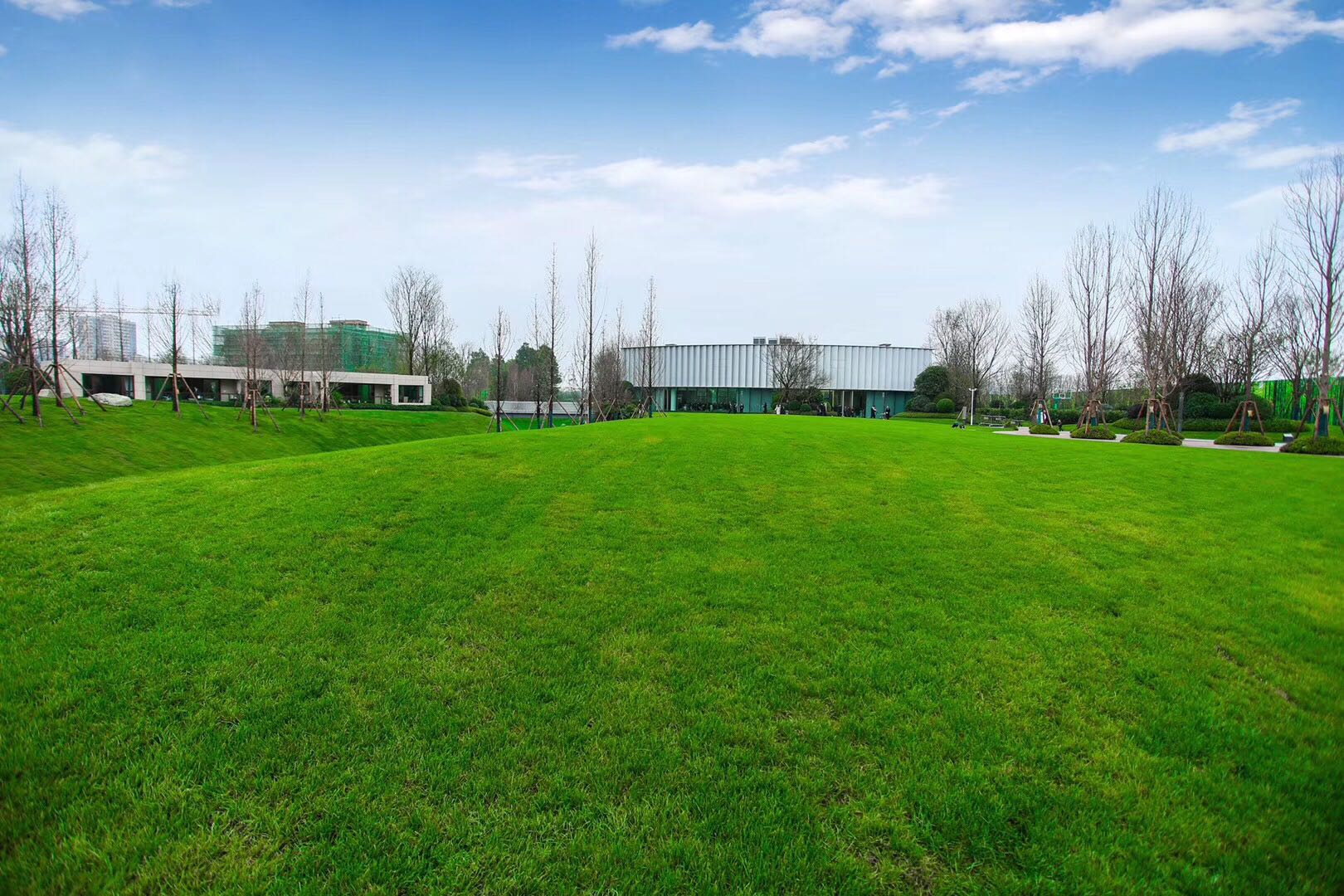 公司观察新力进击健康时刻