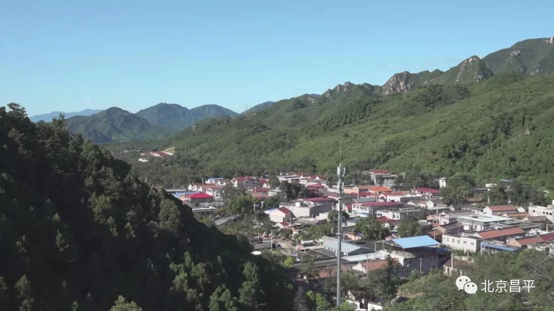 疫情结束后90的昌平人都想做这件事