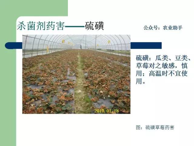 毒死蜱,氟铃脲,快螨特,噻唑膦,三唑磷,杀虫单,辛硫磷,溴氰菊酯,灭多威