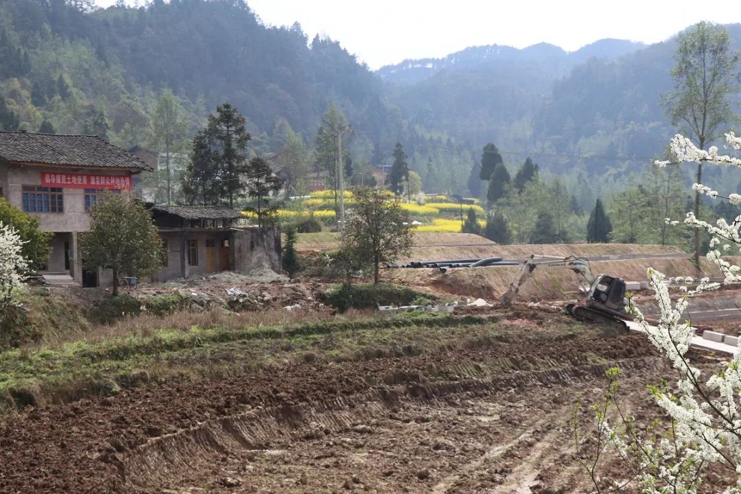 为赶农时不误春,一大早,位于双龙镇黄龙村的"达州市通川区百草种植