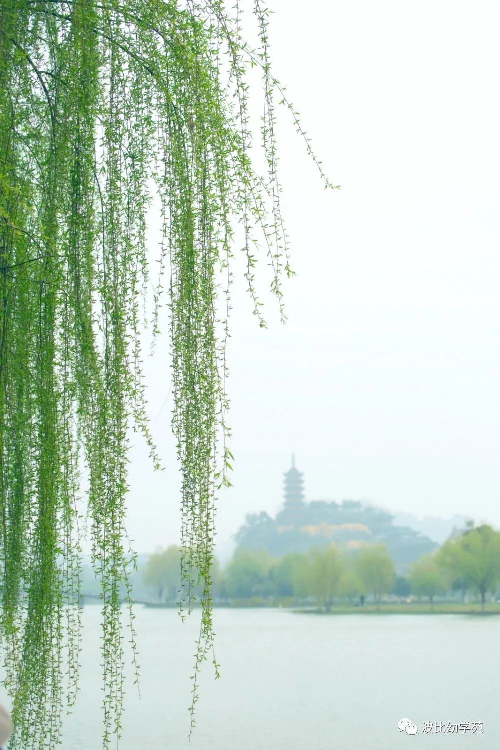 【古诗咏唱】江南春光多明媚,烟雨朦胧惹人醉