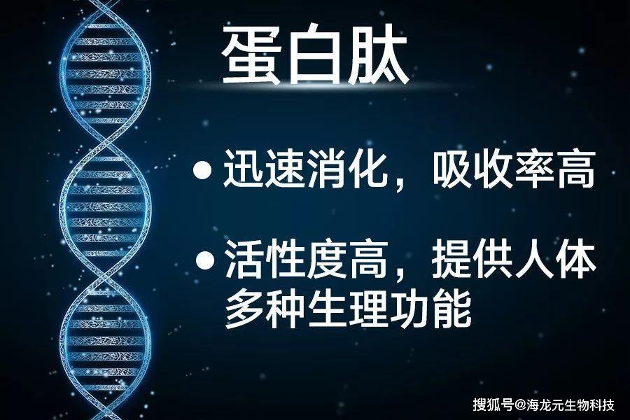 人体内存在成千上万种肽 你知道肽有什么作用吗?