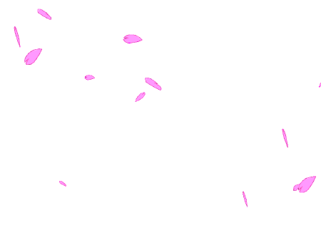 450_337gif 动态图 动图