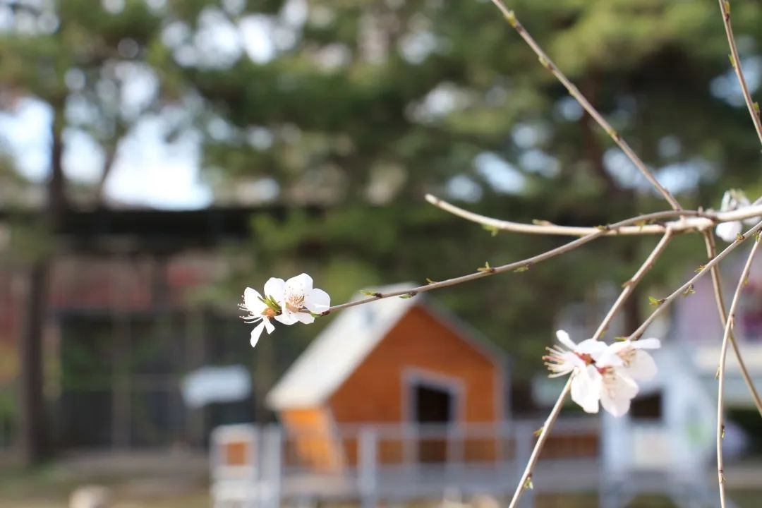 六一幼兒院大門拍攝者:張冰潔進修附小春寒料