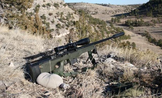 2008年有采用了新的l115a3,据报道,这是目前世界上最好的狙击步枪之