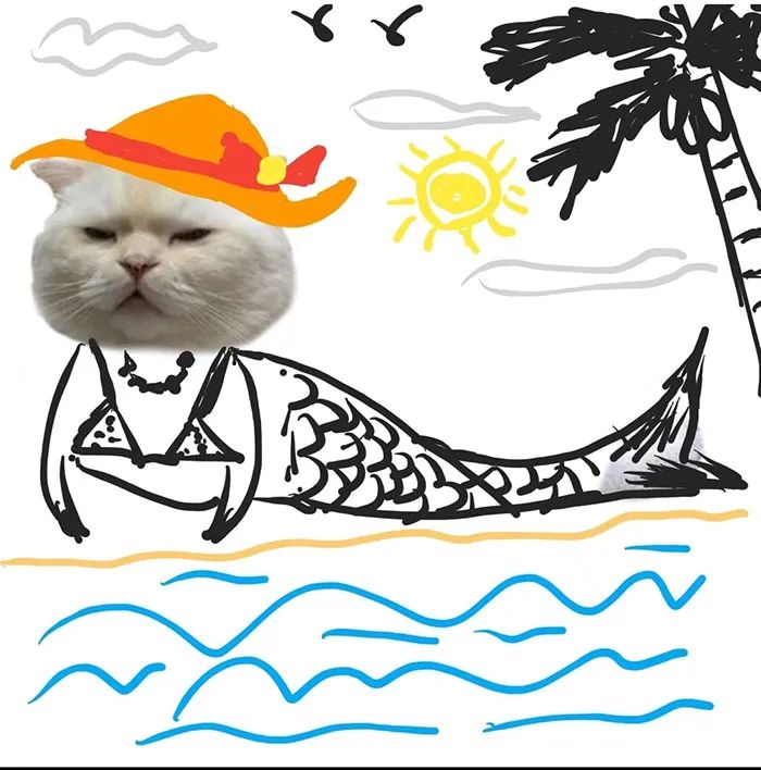 仅有一个猫头的基础上如何完成一幅完整的画沙雕网友们