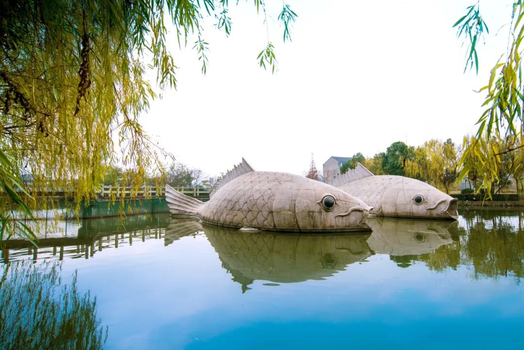 桥村林绍禹摄温峤镇茅洋村温峤镇许宅村温峤镇中街村石桥头镇横湖新村