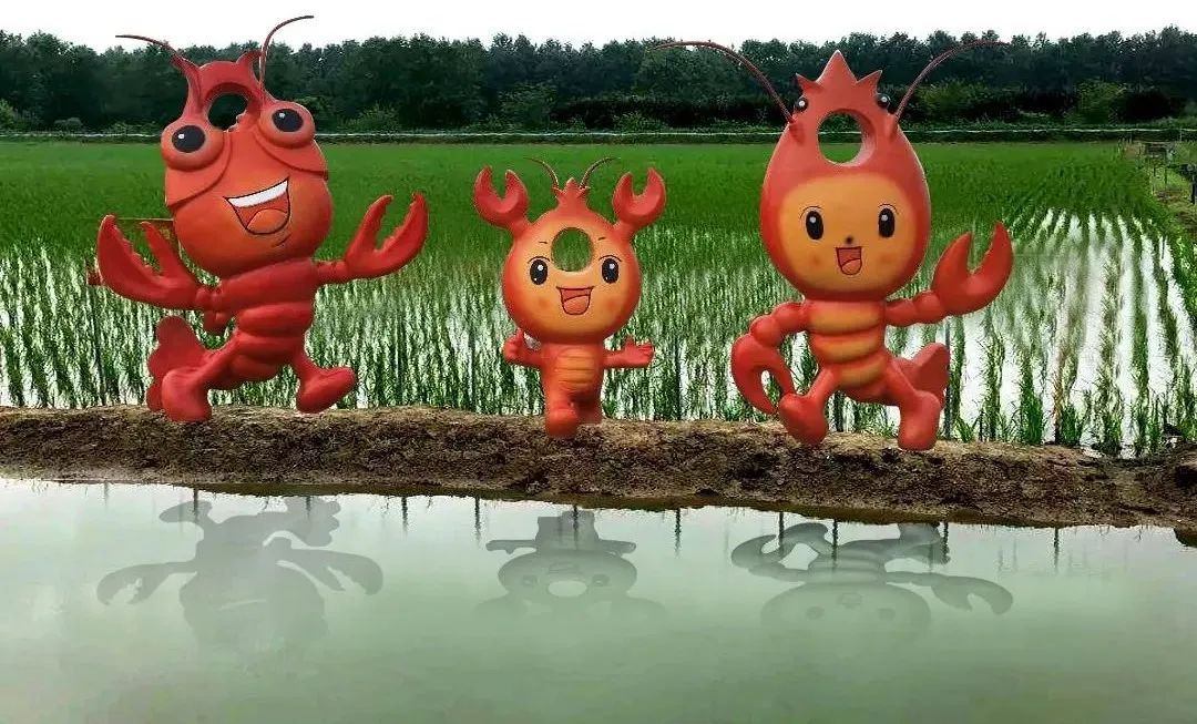 有趣的稻田景观