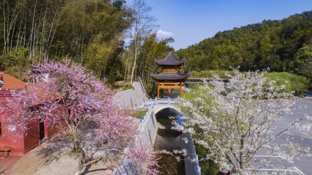 聞清露細雨鬱鬱蔥蔥玉笥山間我想把春天的峽江送給你春那是我眼裡最美