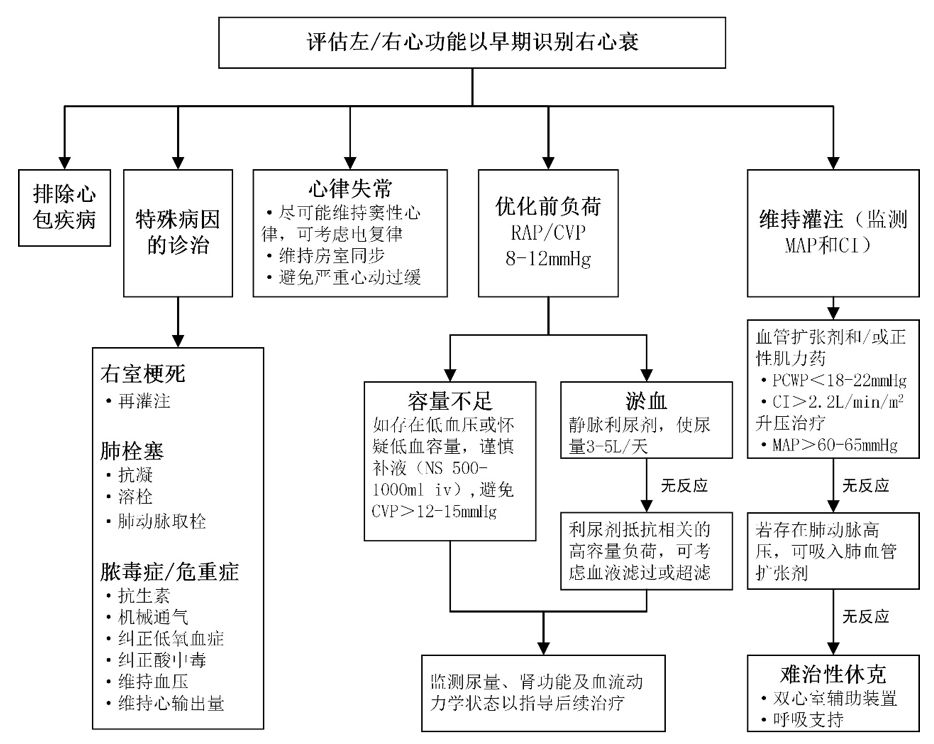 沈潞华教授:心源性水肿的诊断与鉴别诊断
