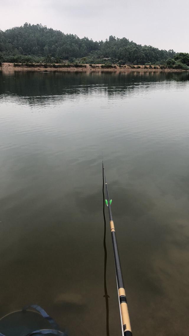 梧村水库,水质不好,土鲫超多,拉得手软,拉拉小土鯽的感覺也好,魚不能