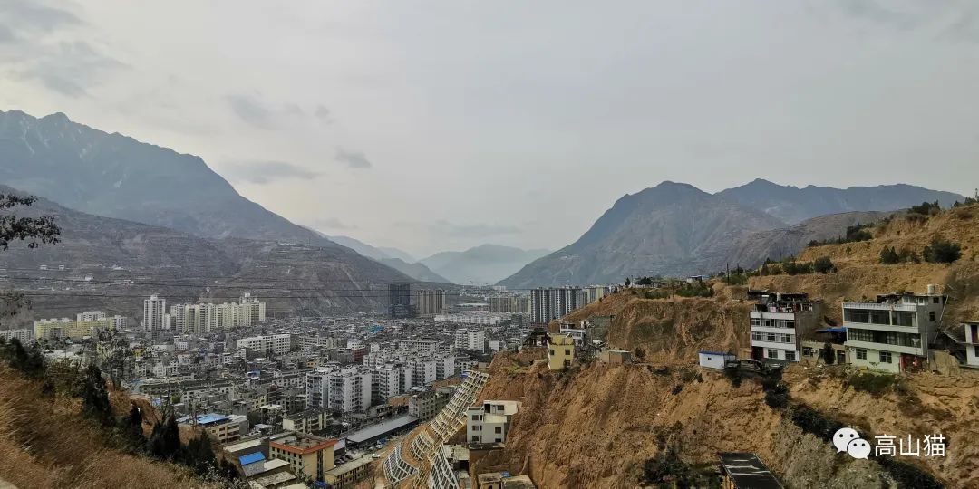 随拍分享高山猫武都北山植物园一个可以看武都全景的地方