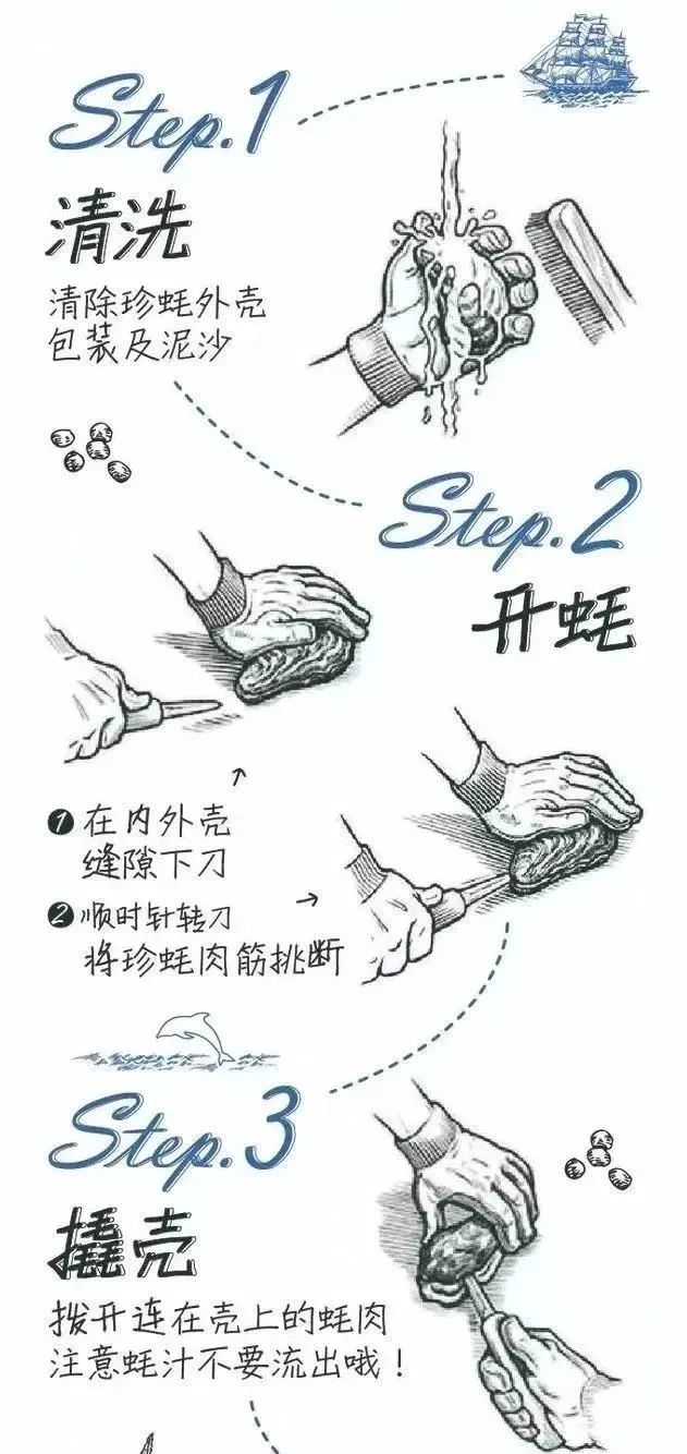 无需预约江浙沪包邮一入蚝门深似海399元抢门市价68元乳山生蚝中号45