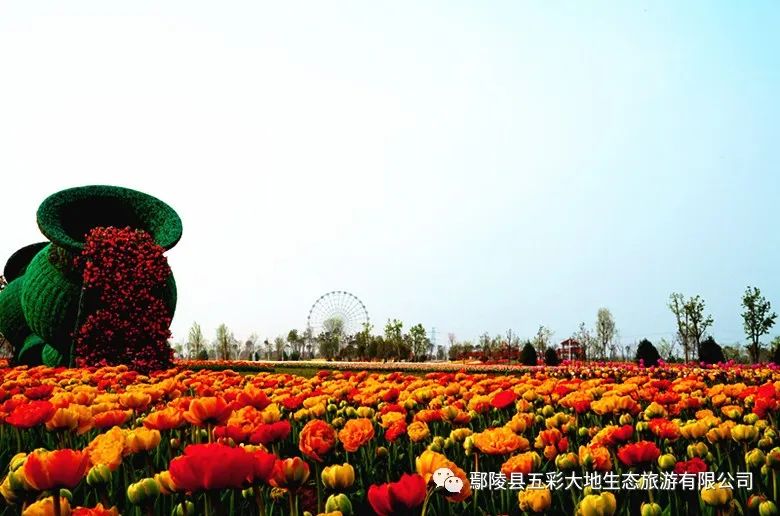 五彩大地百花迎春月盛裝開幕百花齊放等你來