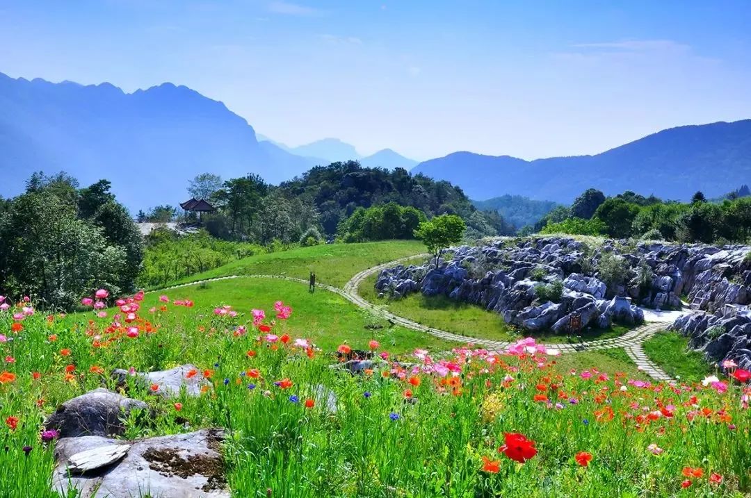 绵德一体化丨阳春布德泽万物生光辉绵阳市乡村旅游精品线路出炉快跟着