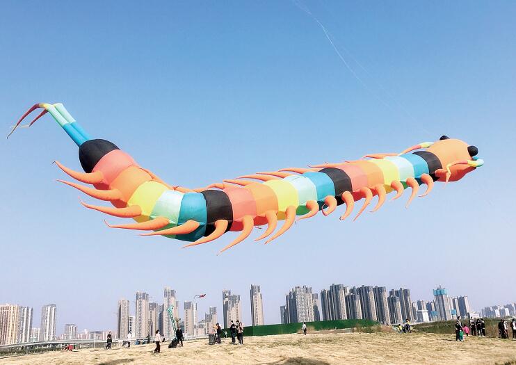 蜿蜒曲折的蜈蚣风筝图片