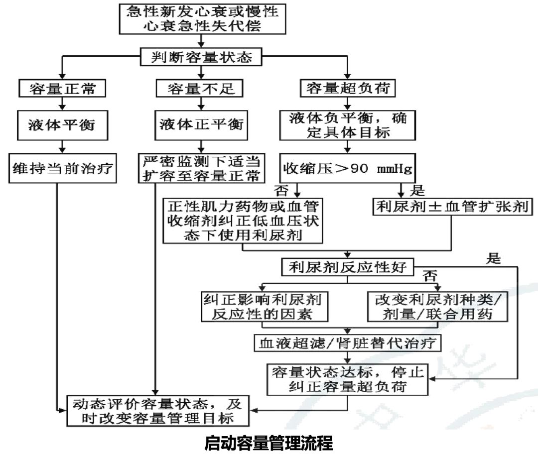 沈潞华教授心源性水肿的诊断与鉴别诊断