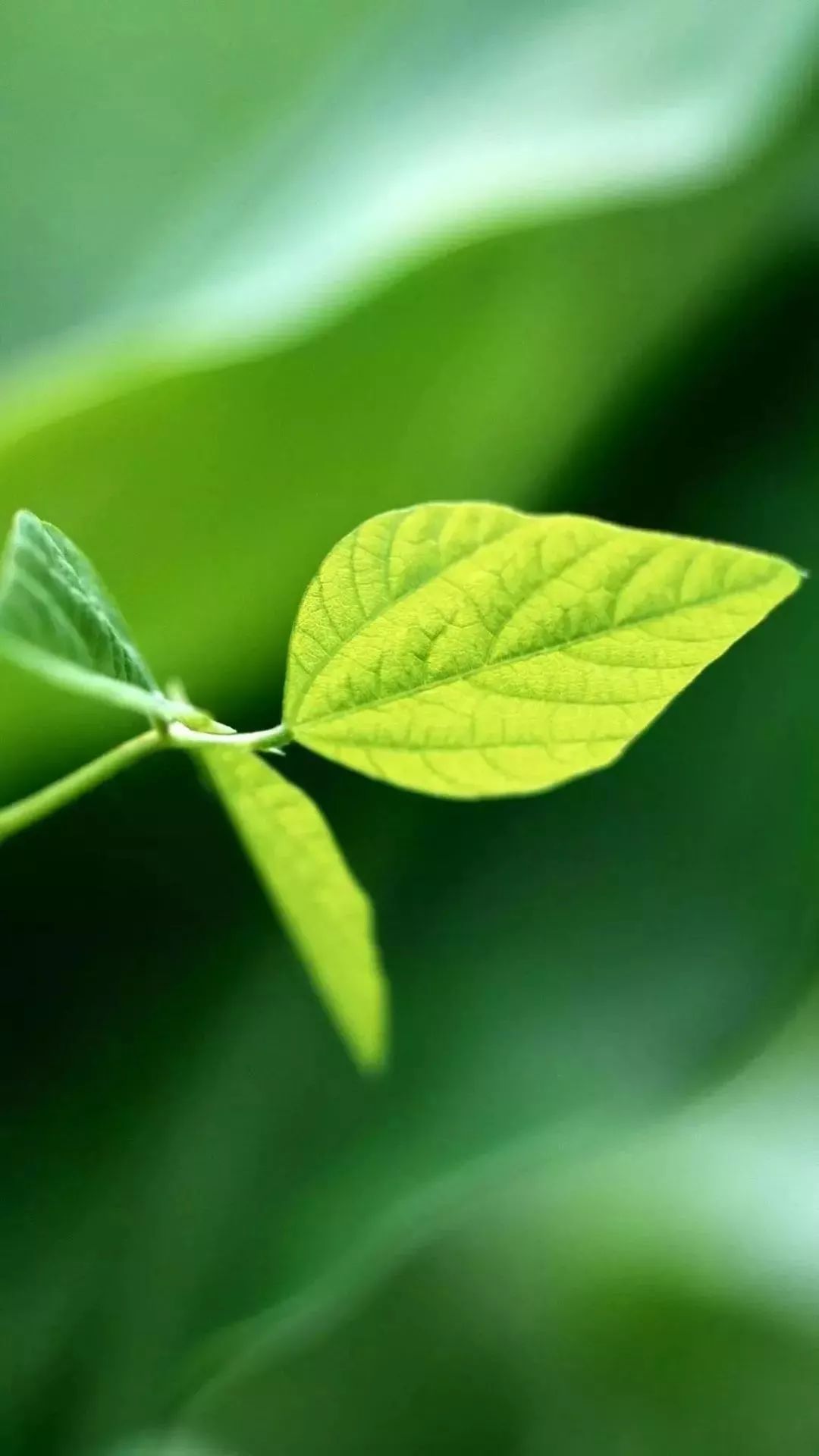 高清唯美给心灵的窗户放放假