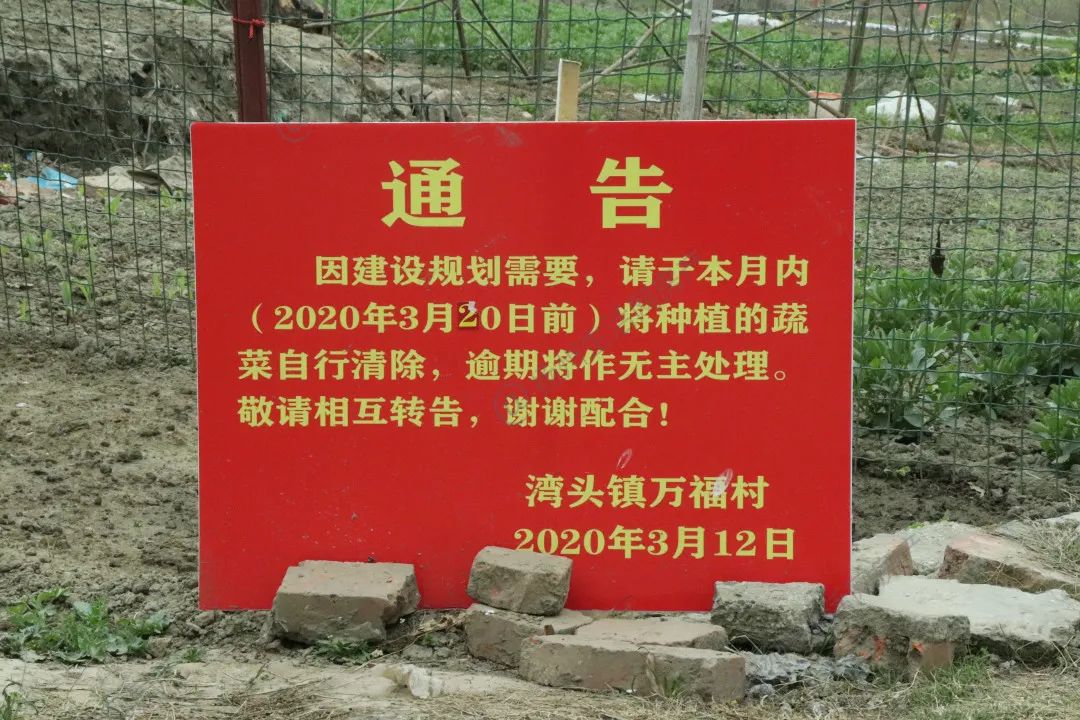 九户,附近居民向大锤透露,  拆迁后将与旁边的农田一同用于土地挂牌