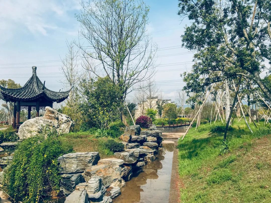 义乌人游义乌义亭森山健康小镇邀你与春天共舞