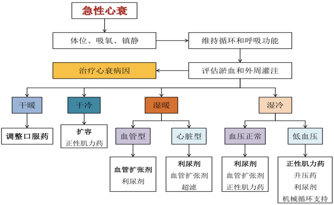 沈潞华教授心源性水肿的诊断与鉴别诊断
