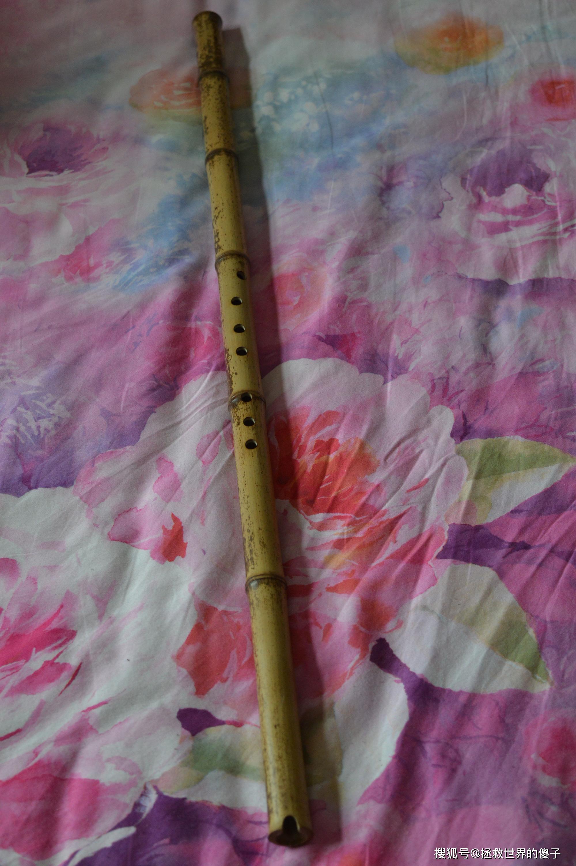 自制漂亮的芝麻斑f调洞箫赏图