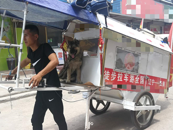 原创徒步必拉车拉车必带狗励志满满的徒步直播为何屡遭嘲讽
