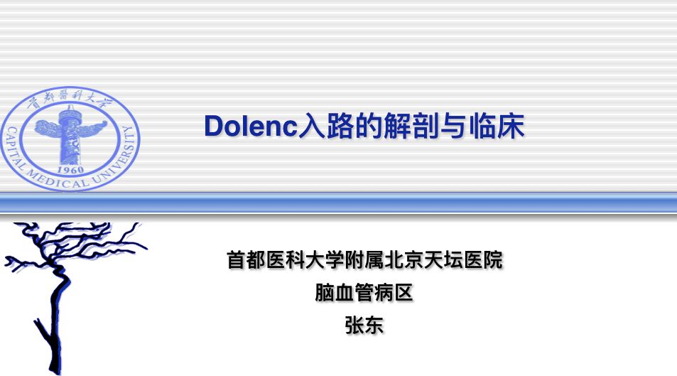 dolenc入路图片