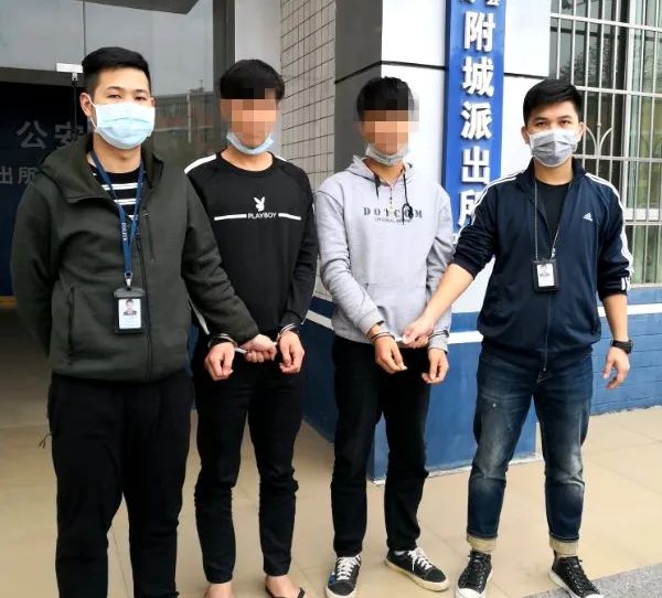 龙川这4个小伙被警方带走原因曝光