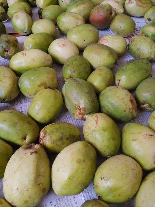 这天然的调味品,汁多味酸甜,作为水果鲜食,香酸爽口,清香味美;果肉