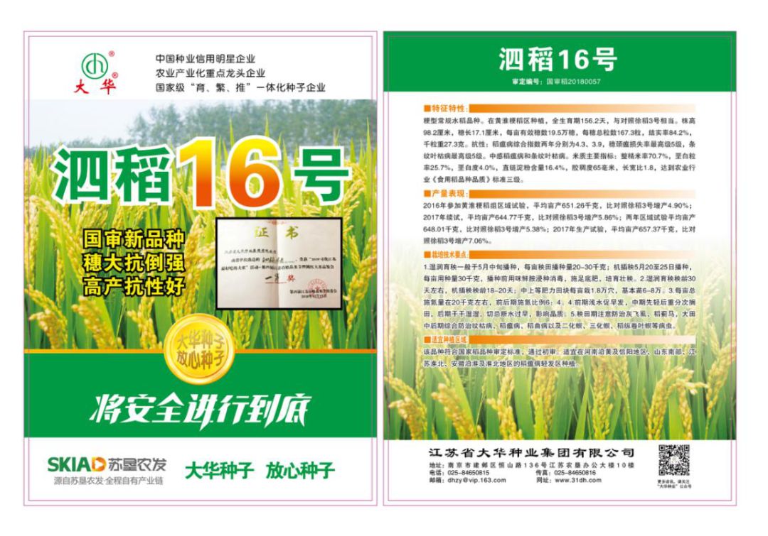 爱种优选大华种业水稻种子泗稻16号
