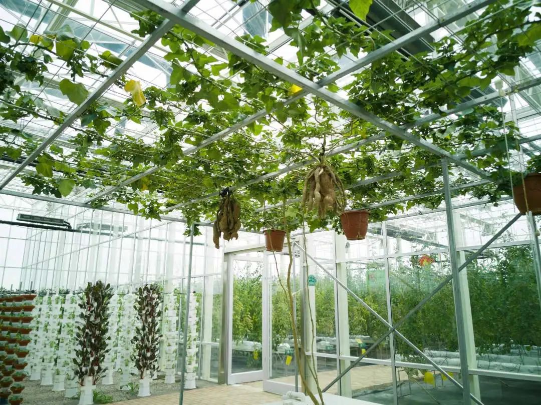 义乌人游义乌义亭森山健康小镇邀你与春天共舞