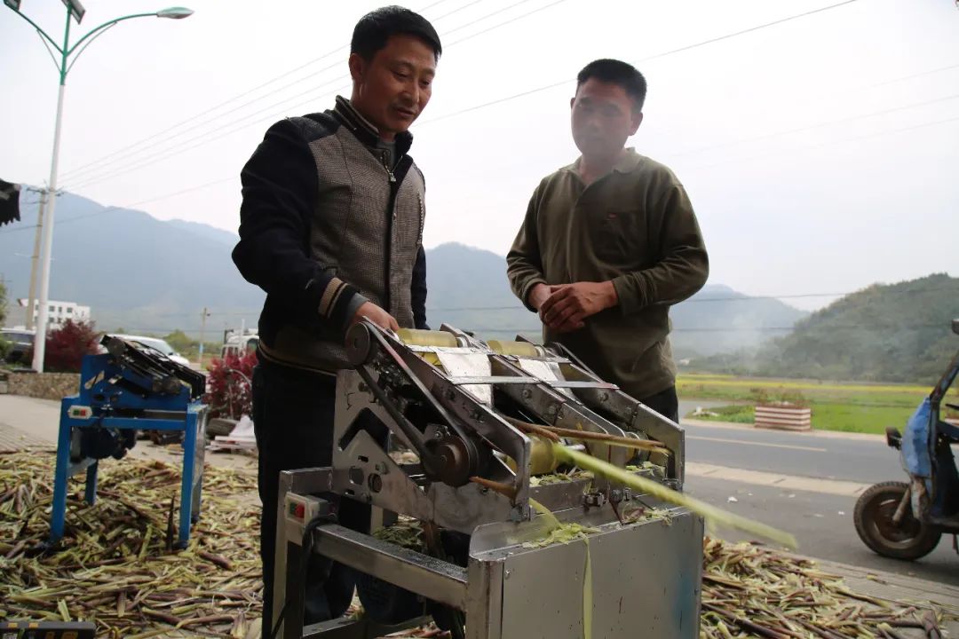 王万能大伙给他起了个外号解决村民剥笋难题发明自动剥笋机有这样