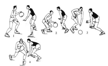 篮球的基本动作24式图片