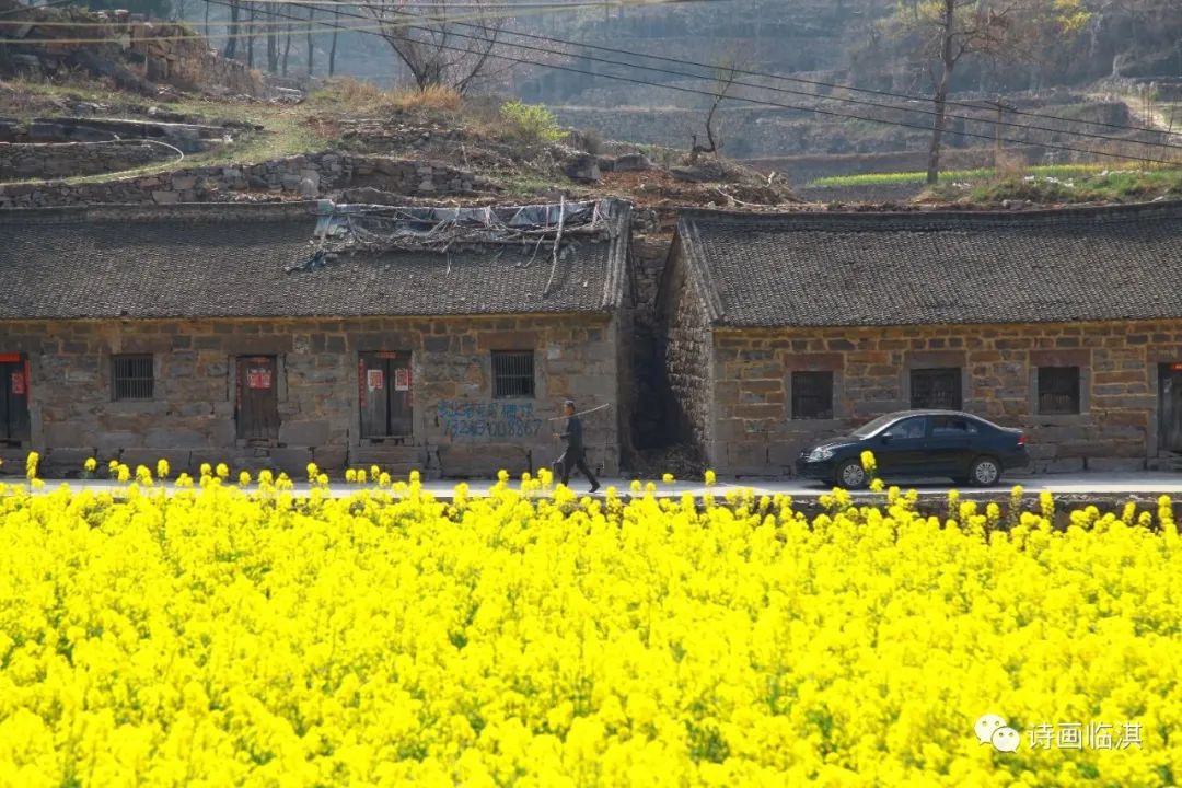 林州临淇有个山村号称桃花源,你知道在哪儿吗?