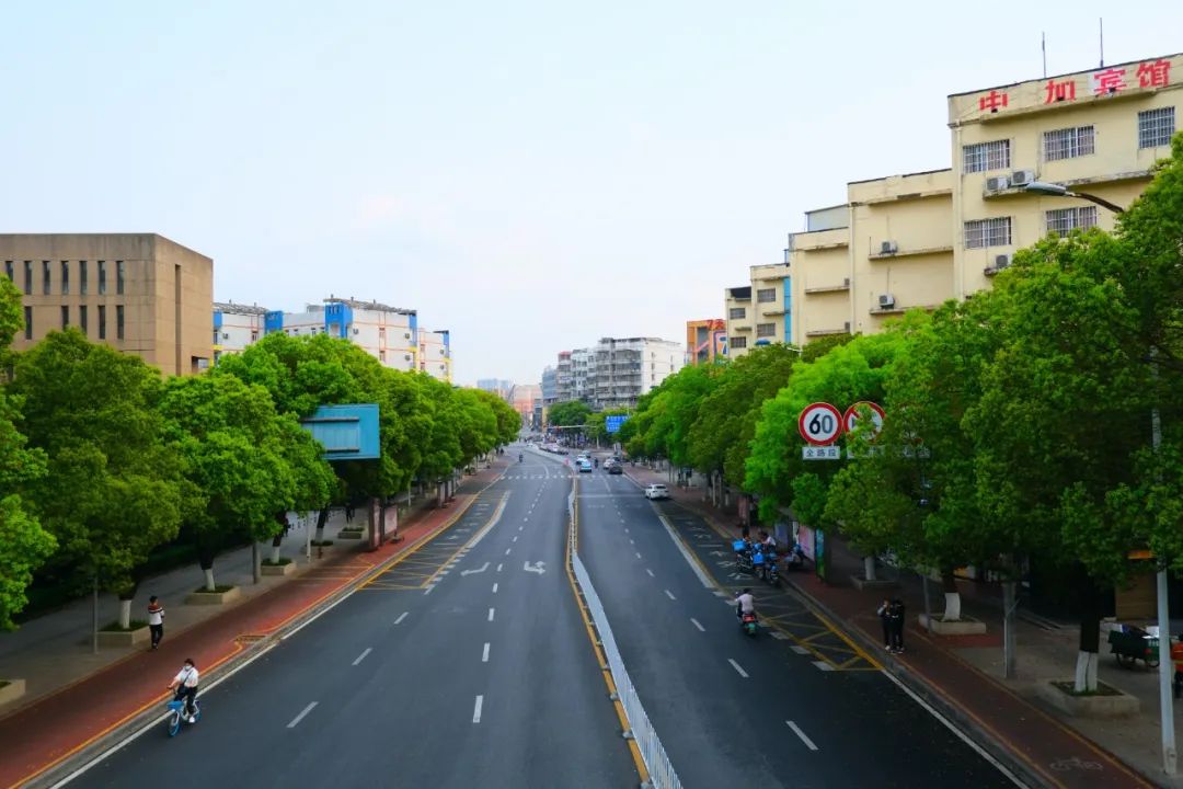 上週末,我在河西大學城拍到了春天的氣息