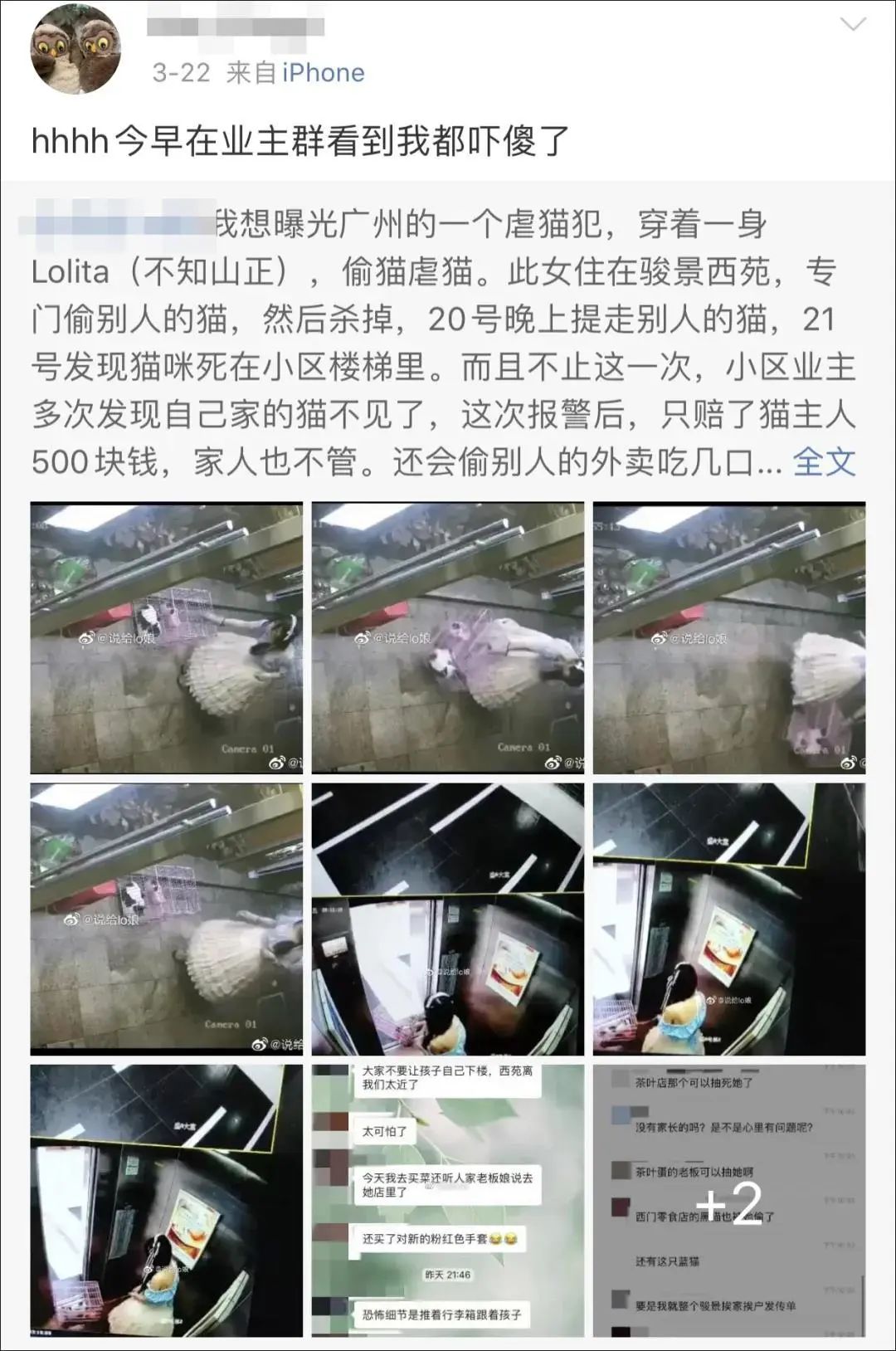 广州lo娘偷猫残忍虐杀,邻居反映还有其他可怕行为!_女子