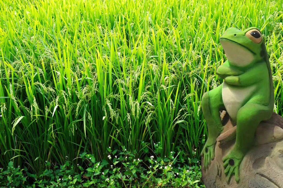 一种风景卡 通 装 置能与游客产生互动场景化的稻草景观小品乡味浓浓