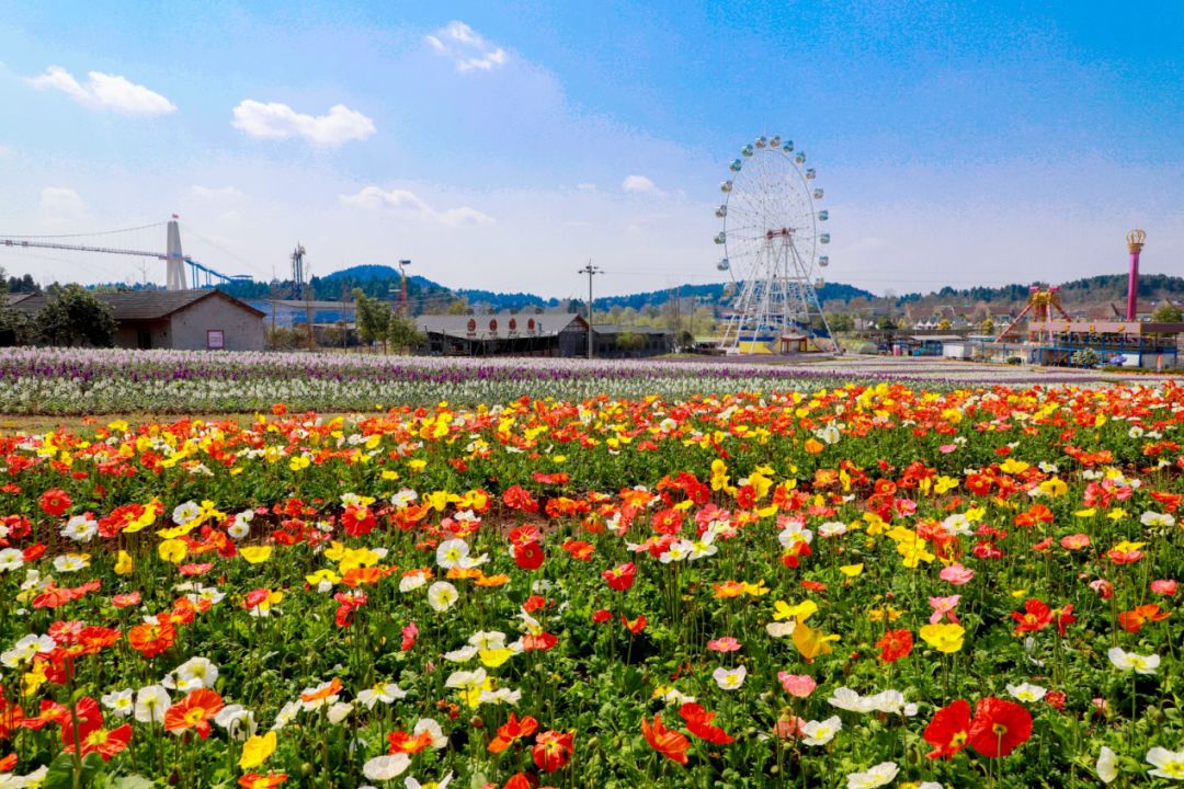 绵德一体化丨阳春布德泽万物生光辉绵阳市乡村旅游精品线路出炉快跟着