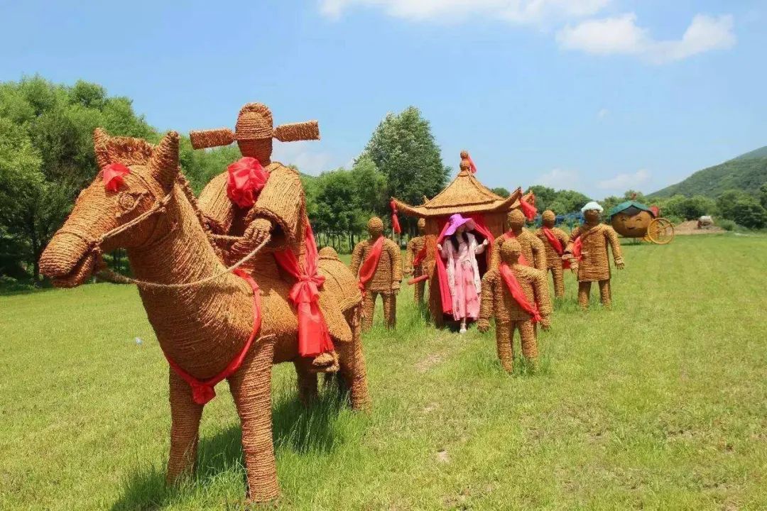 有趣的稻田景观