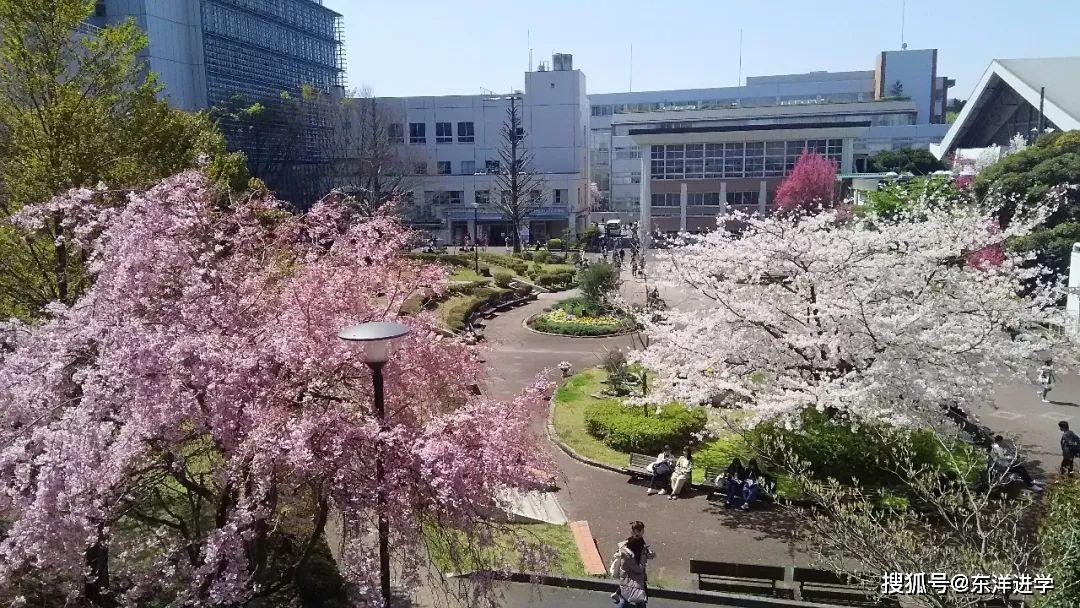 樱美林大学孔子学院图片