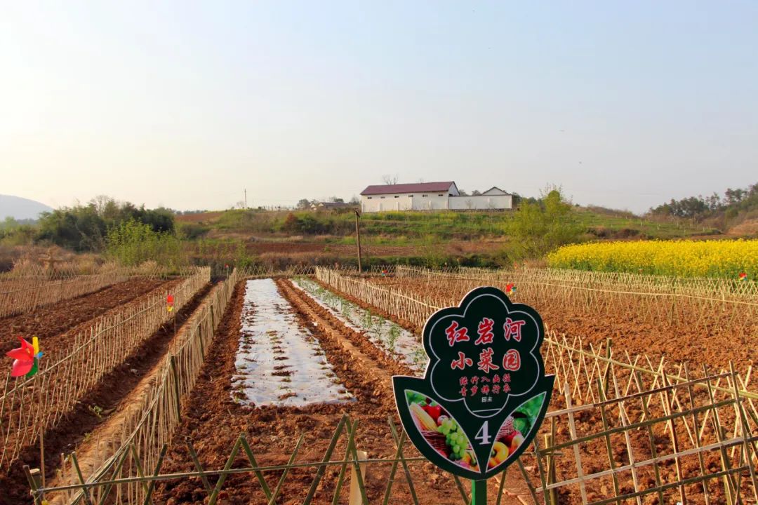 红岩河小菜园招租丨圆你平凡且诗意的田园梦