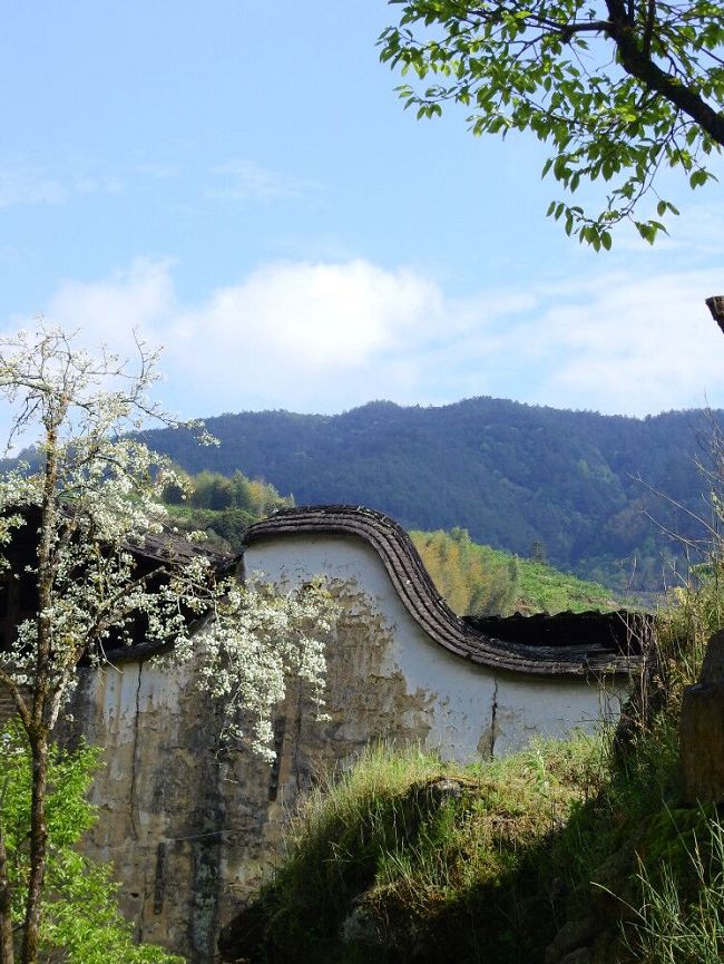 中华民居61龙潭专刊艺术家林正碌的古村活化之路